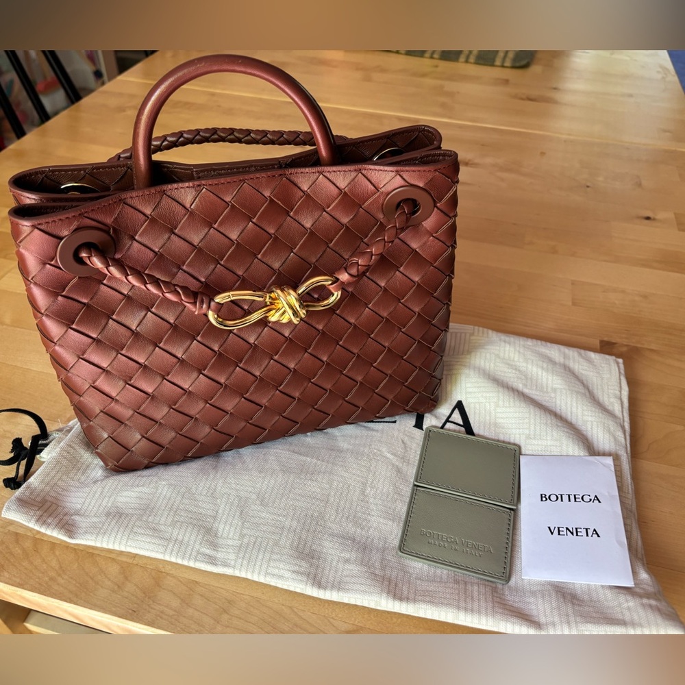 SOLD Bottega Veneta Andiamo Small